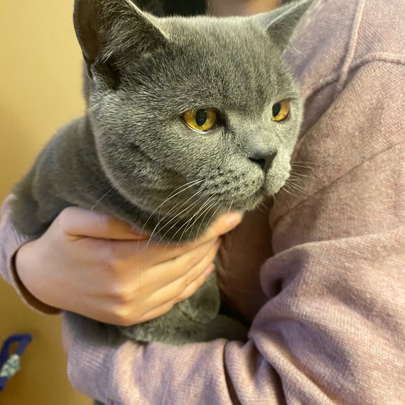 Meet your Posher, Man - Picture 1 of 1